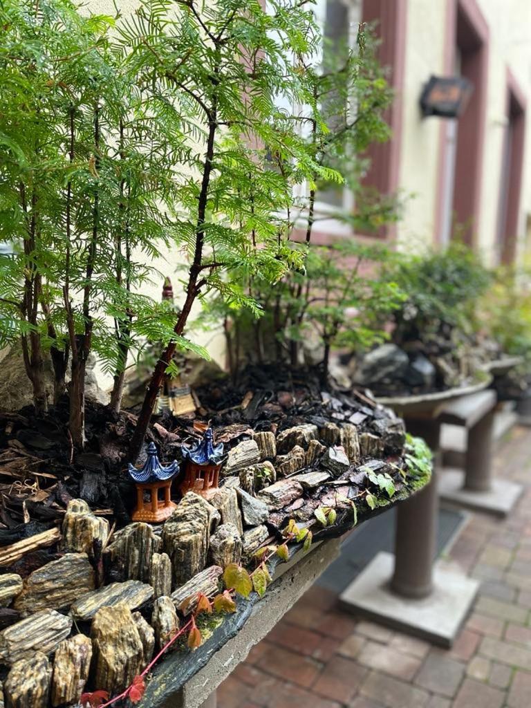 Trang Hotel ラシュタット エクステリア 写真
